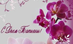 Tatyana's day - the history of the holiday In honor of which Tatyana's day is held
