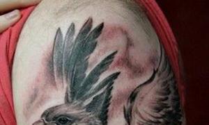 Tetování Griffin pro muže: mýtický a moderní význam Význam tetování Griffin